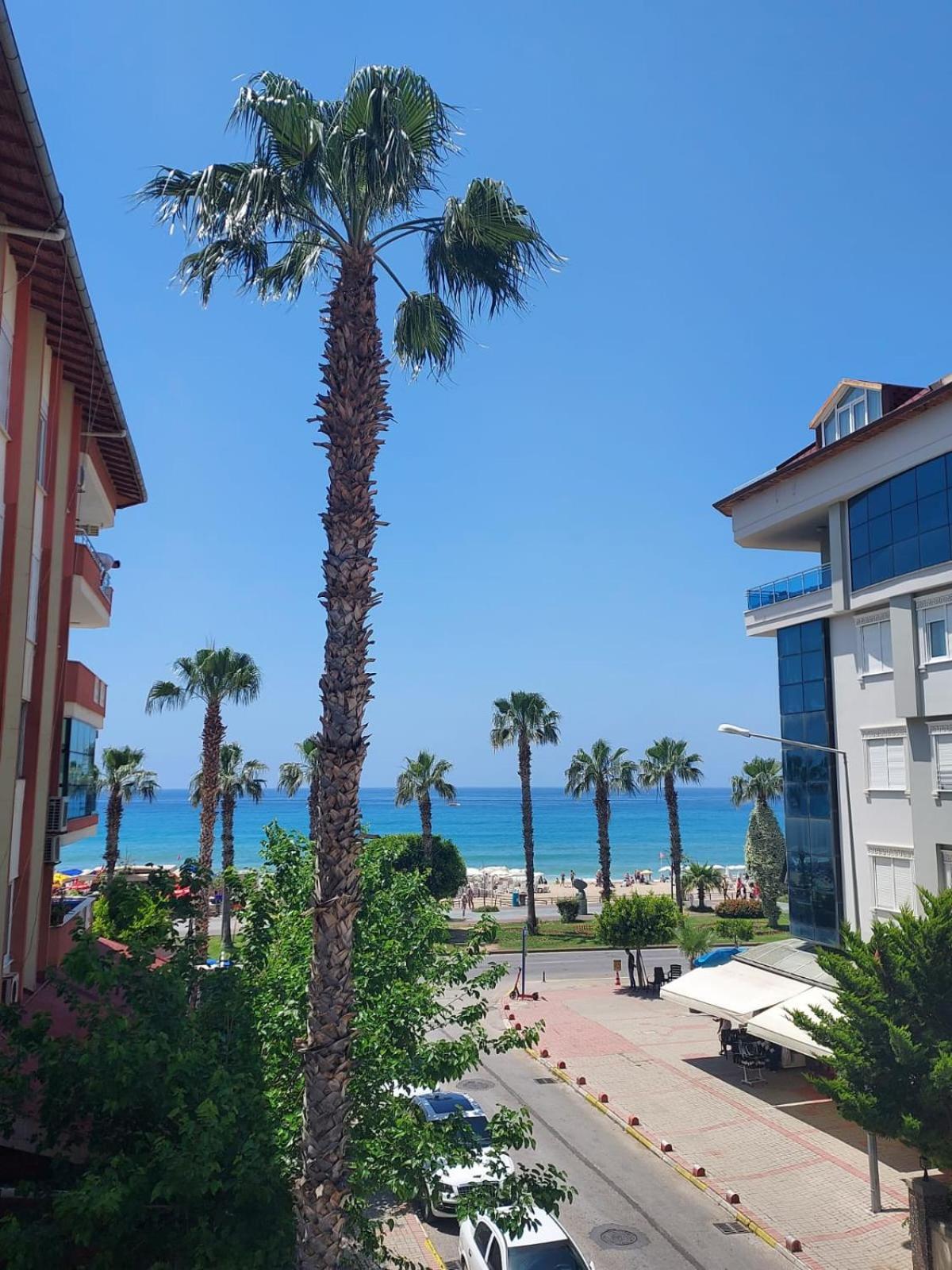 אלאניה Kleopatra Sahara Hotel מראה חיצוני תמונה