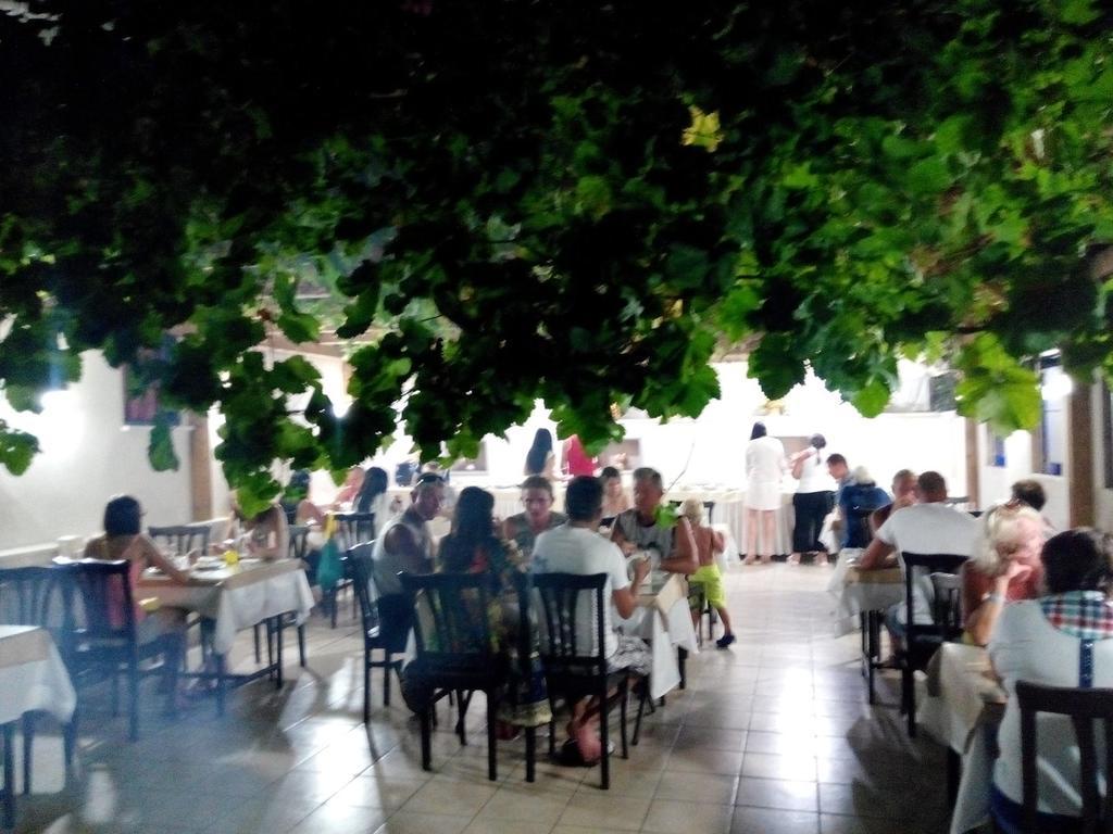 אלאניה Kleopatra Sahara Hotel מראה חיצוני תמונה